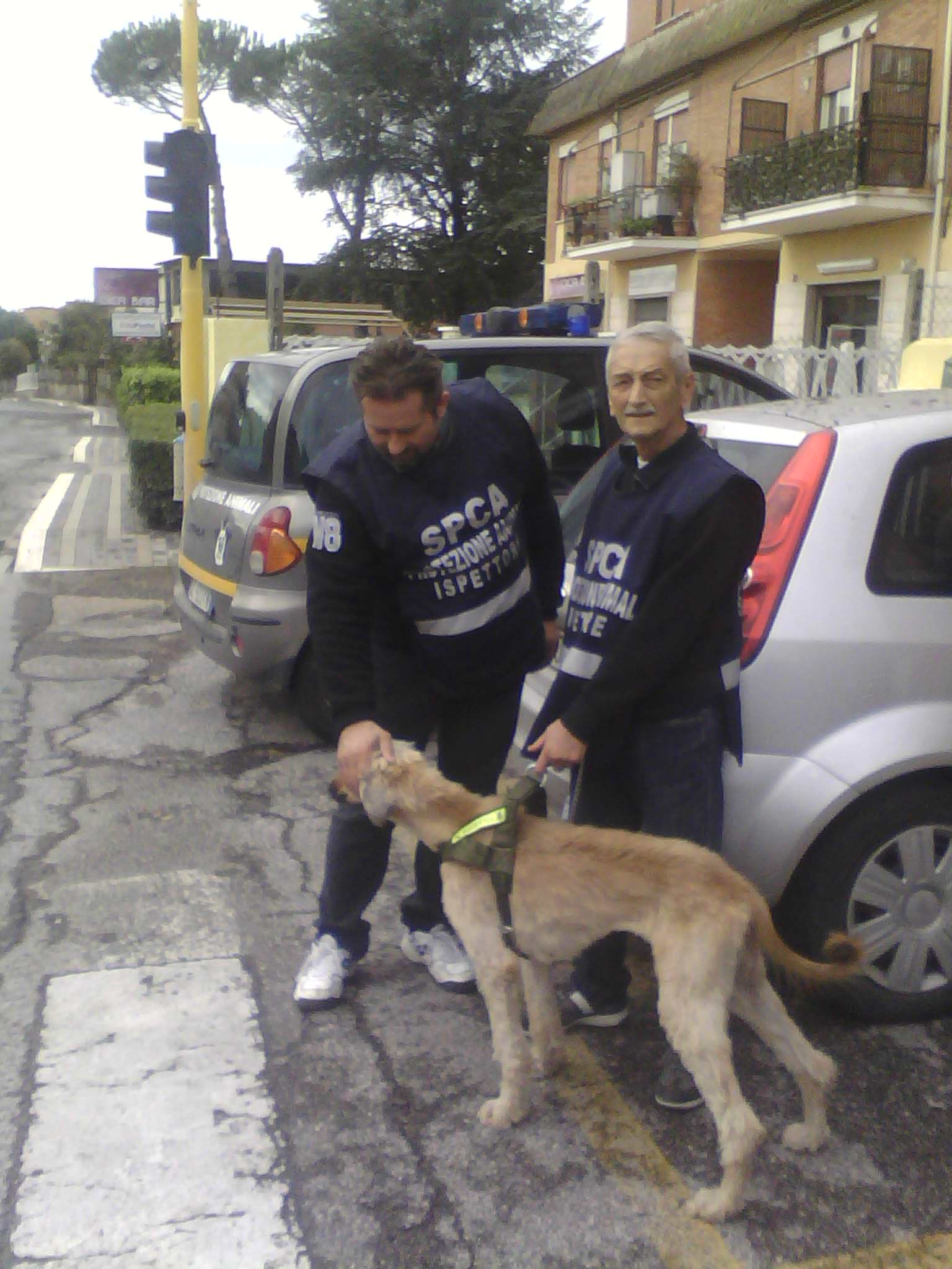SPCA Italia Protezione Animali - SPCA International