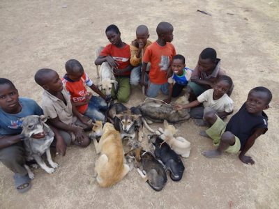 Tanzania Animals Protection Organization - SPCA International