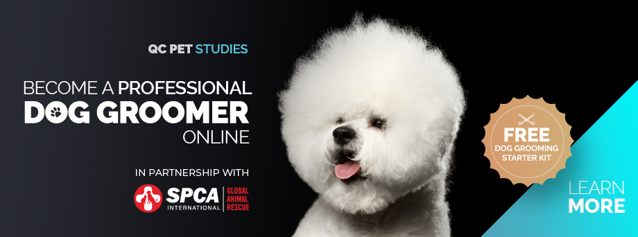 Spca grooming shop