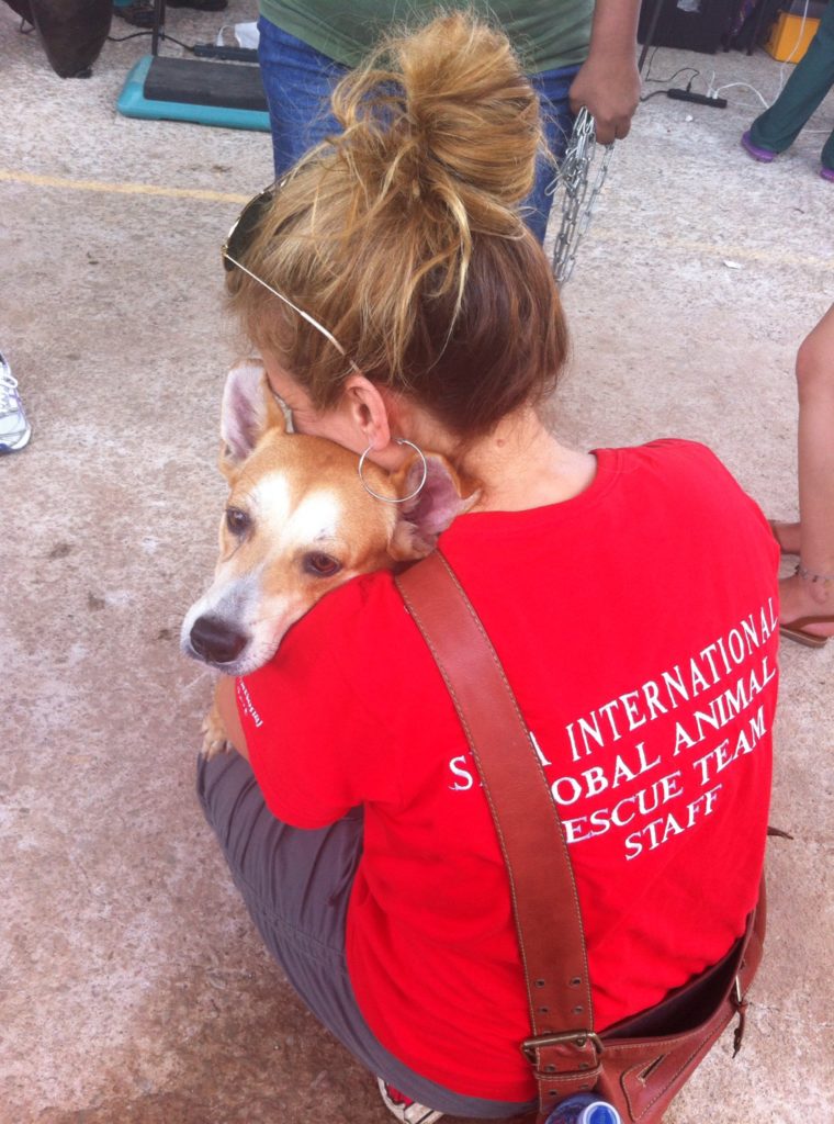 YOU made this possible 1,236 lives saved in Panama! SPCA International
