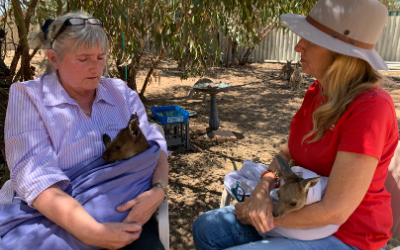 Video: Bluebush Wildlife Rescue and Rehab receives a grant