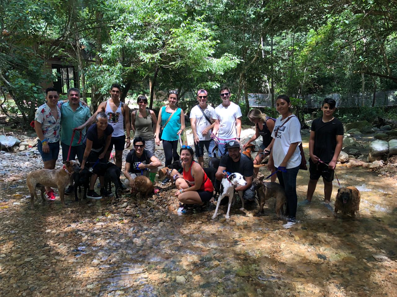 SPCA Puerto Vallarta