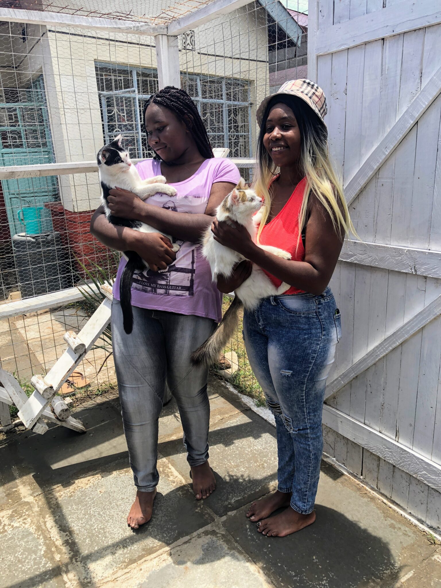 The Nairobi Feline Sanctuary SPCA International