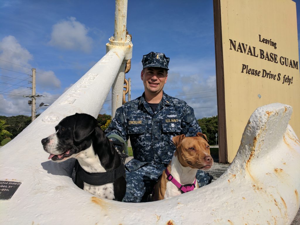 Operation Military Pets
