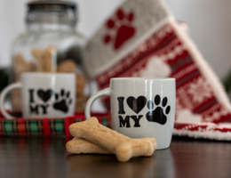 Holiday Gifts Simplified: SPCA International staff share their favorite pet-centric products.