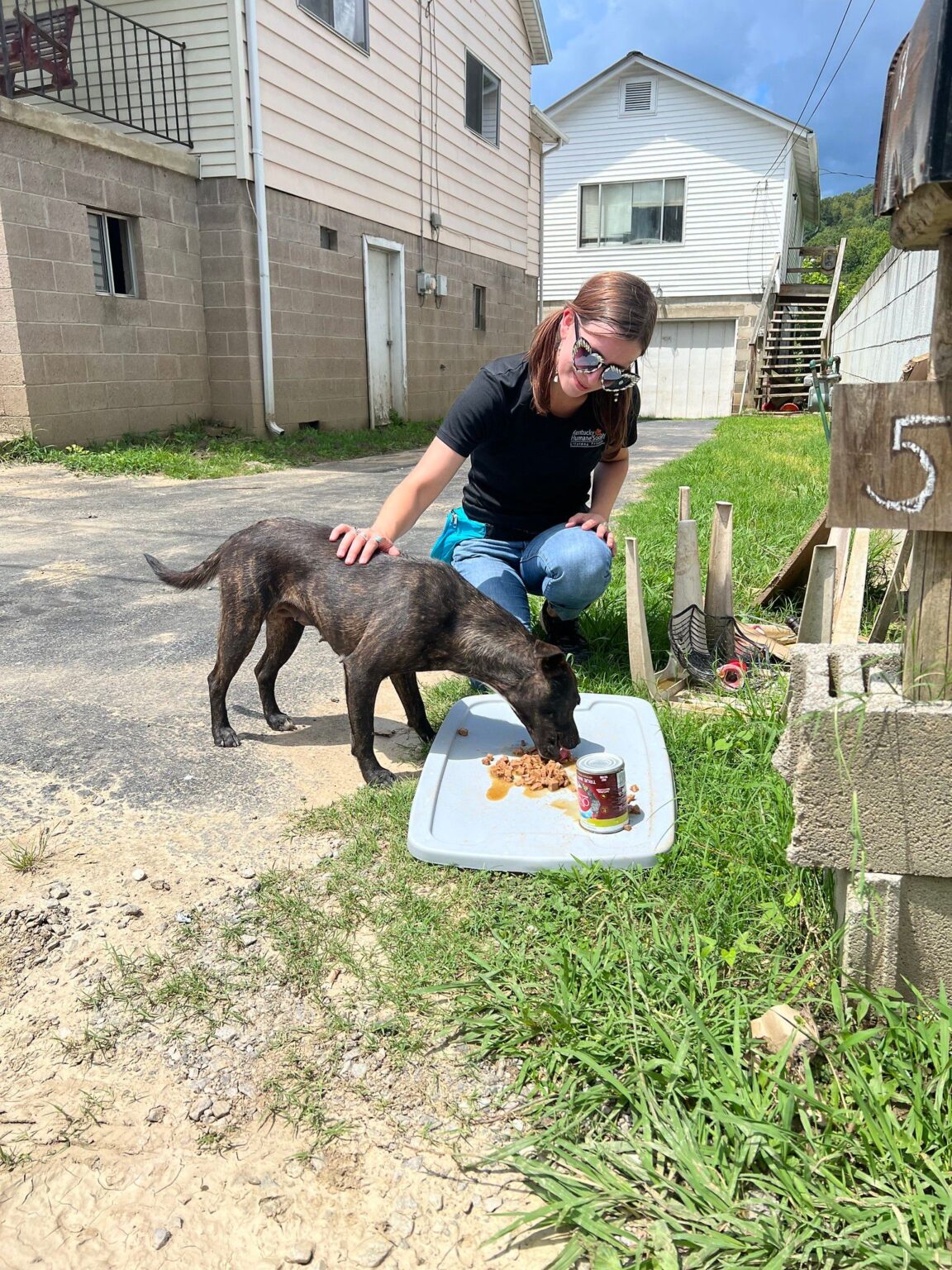 Kentucky Humane Society SPCA International