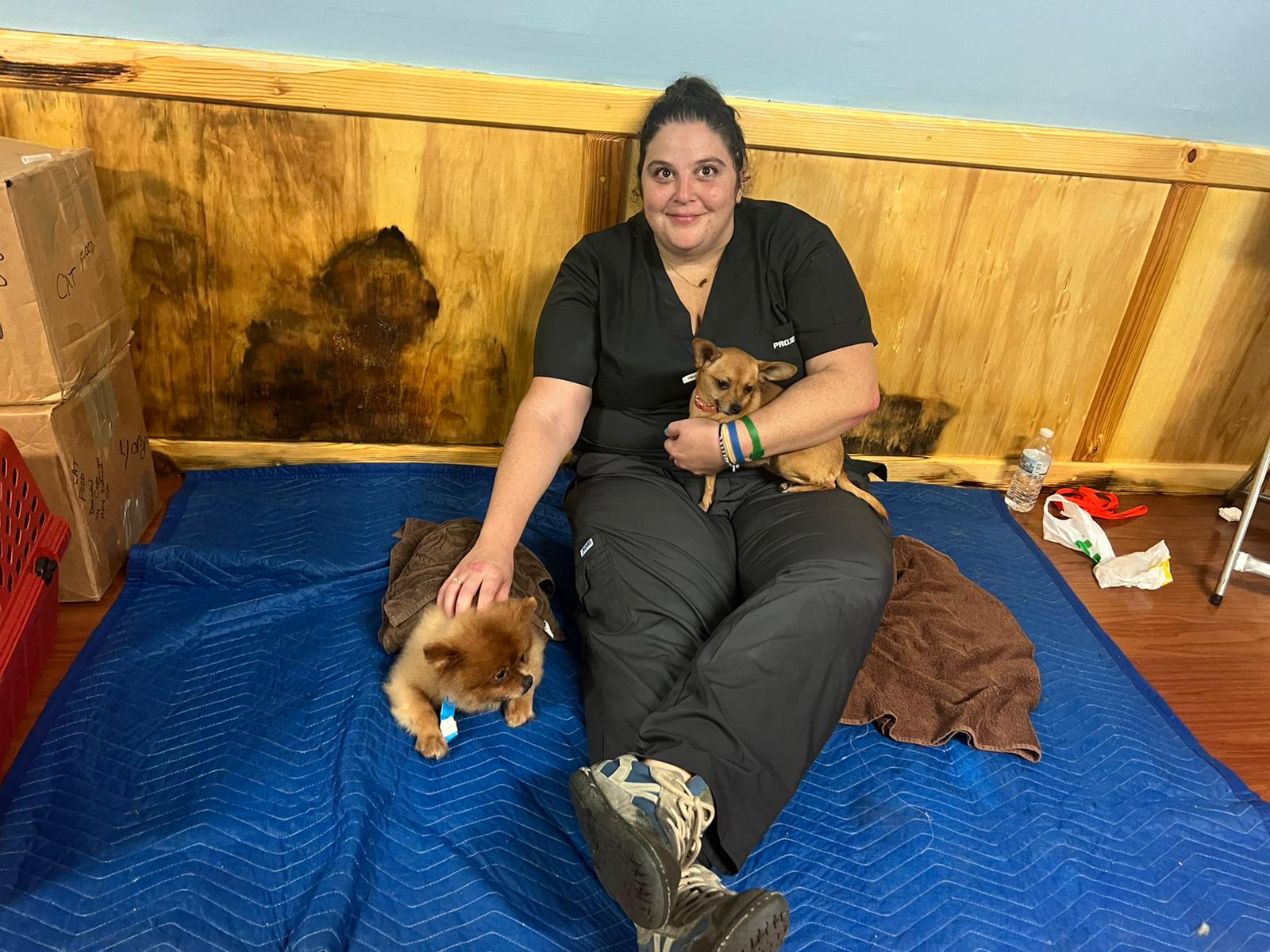 Operation KTMO Success SPCA International