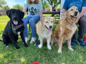 Helping Hands Humane Society - SPCA International