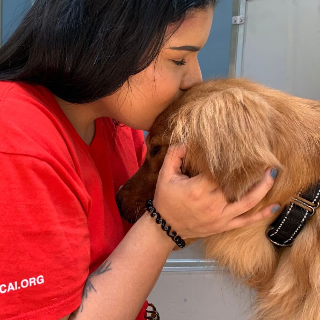 SPCA International staff member with dog rescued from the dog meat trade.