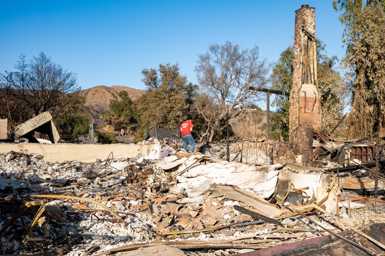 Helping Animals in Crisis: SPCA International’s Wildfire Relief in Southern California