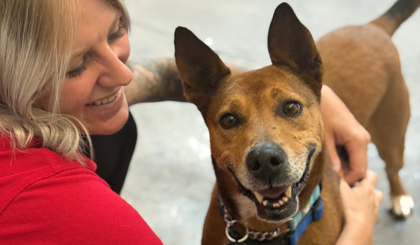 Love, Loss, and the Power of Pets