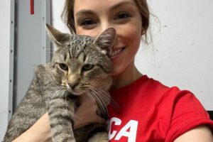 pluto at the airport