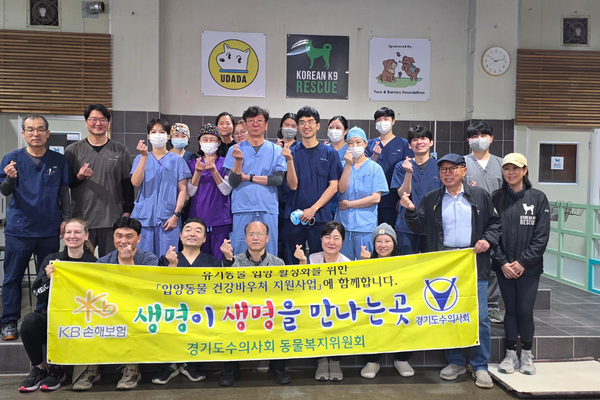 Operation 1M: From Short Chains to Lasting Change - SPCA International