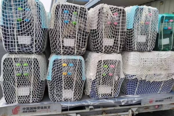 transport-cages.jpg